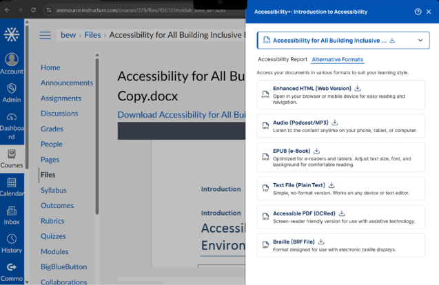 An accessibility panel in Canvas showing the Alternative Formats available for a Word document. The panel provides downloadable versions in Enhanced HTML, Audio (MP3), EPUB, Plain Text, Accessible PDF (OCRed), and Braille (BRF) formats.